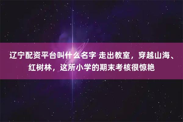 辽宁配资平台叫什么名字 走出教室，穿越山海、红树林，这所小学的期末考核很惊艳